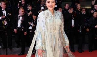 فيريال زياري تفرض حضورها الراقي في مهرجان كان السينمائي