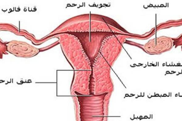 ما أسباب الإفرازات المهبلية قبل البلوغ؟