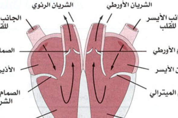 انتشار وباء الطاعون الرئوى بالقرب من الأماكن السياحية فى مدغشقر