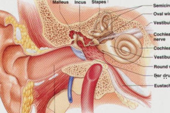 انسداد قناة إستاكيوس يصيب طفلك بآلام الأذن
