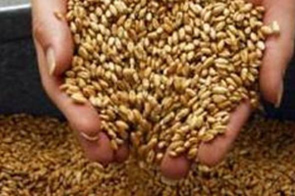عدم زيادة الوزن وقصر القامة من أعراض حساسية القمح عند الأطفال