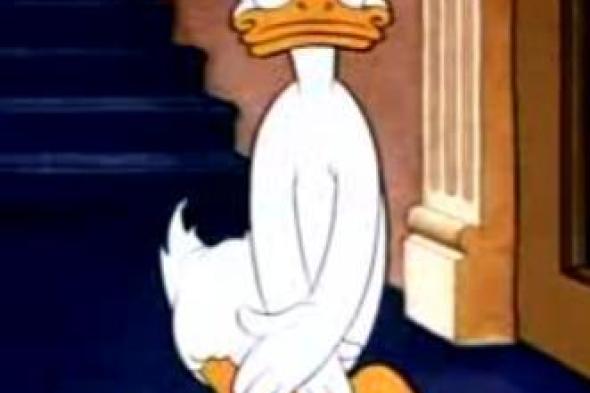 لماذا حرم برهامي "بوسترات" بطوط وميكي؟ اعرف مخالفاتهما الشرعية