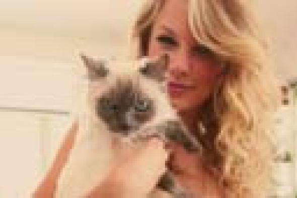 بالفيديو- تايلور سويفت تغرق بين المئات من القطط.. والسبب؟