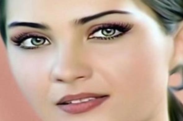 ما هو مفهوم النسوية Feminism؟