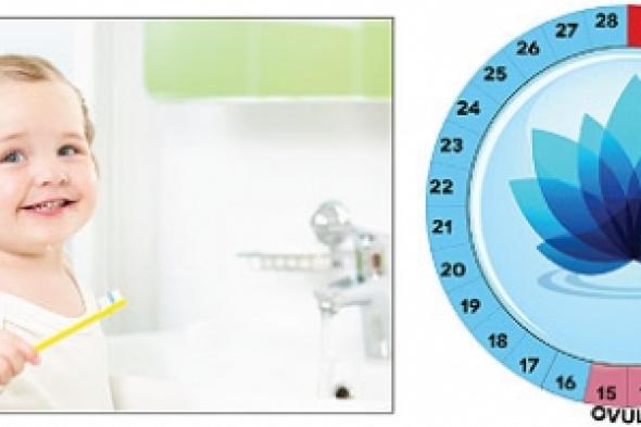 الإباضة عند النساء بين الخطأ والصواب