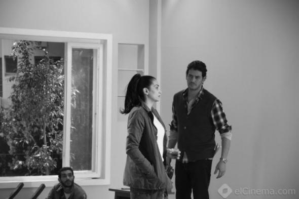 إنفوجراف: السينما المصرية في مهرجان القاهرة السينمائي