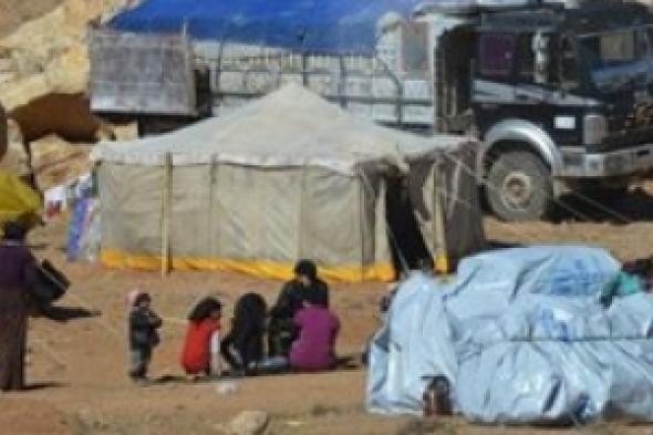 المرأة السورية وحصاد 2014