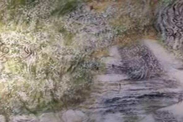 معضلات الرواية النسوية