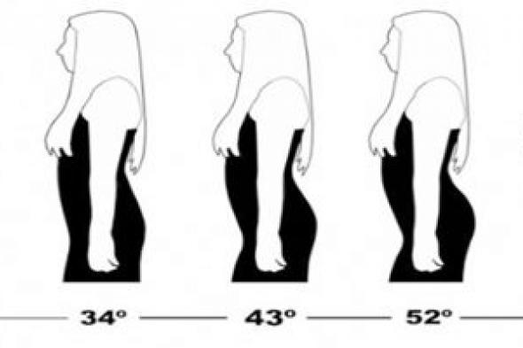 دراسة حول تاريخ الذوق الذكري في انحناءات جسد المرأة