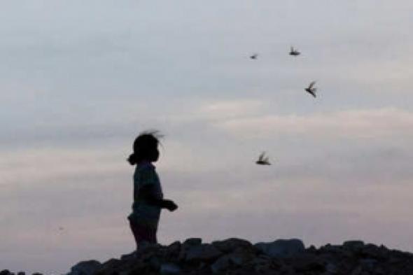 في مصر عاصمة ختان النساء بالعالم.. لماذا تخاف الفتيات من الصيف؟