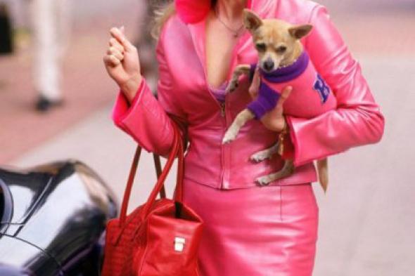 ريس ويذرسبون تتمنى تقديم جزء ثالث من Legally Blonde