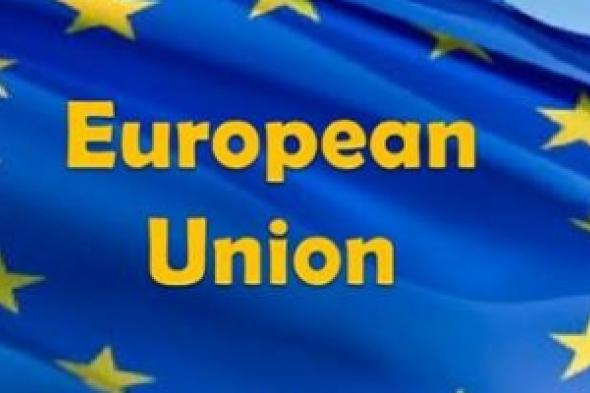 الإتحاد الأوروبي: القانون الجزائري الذي يجرم العنف ضد النساء يشكل "تقدما حقيقيا"