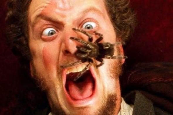 اللص ''مارف" يروي ذكرياته مع كواليس Home Alone