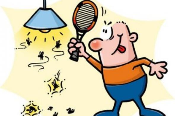 طريقة غريبة.. هكذا تتجنّبون غزو الذباب لمنزلكم