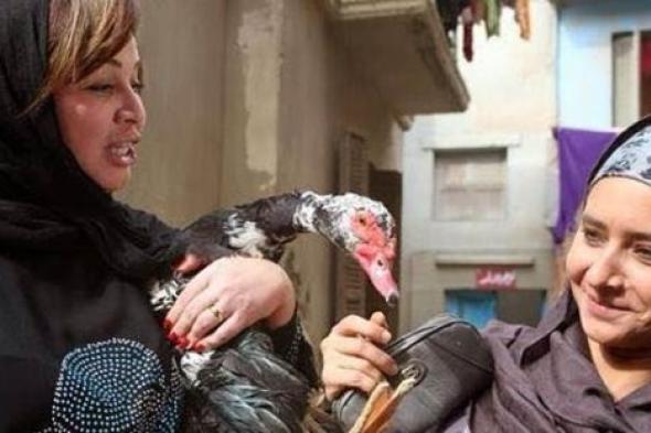 تأجيل العرض الخاص لفيلم "يوم للستات" تضامناً مع ضحايا الحوادث الإرهابية
