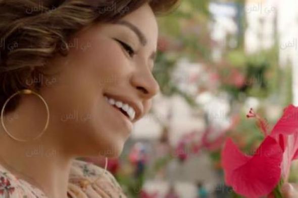 بالفيديو- شيرين عبد الوهاب تبحث عن عريس!