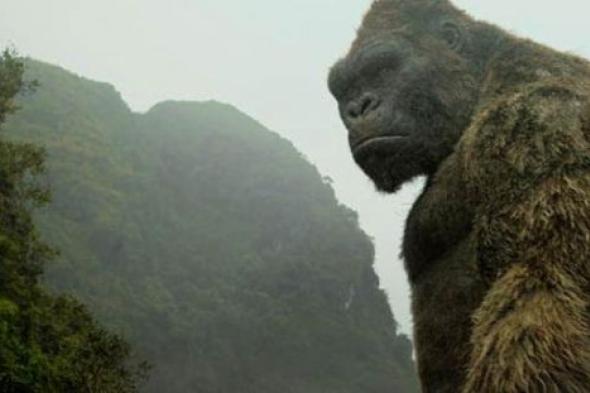 فيلم king kong يعود إلى شاشات السينما بتقنية 3D.. وهذا موعد عرضه بمصر