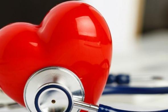 15 معلومة غريبة قد لا تعرفها عن قلب الإنسان