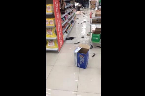 بالفيديو.. أسماك حية تملأ أرضية سوبر ماركت