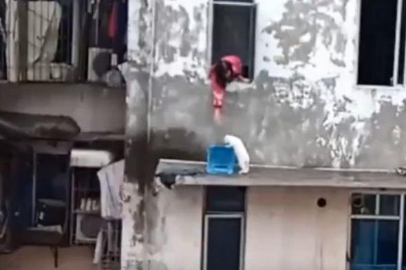 بالفيديو: إنقاذ هرٍّ من السقوط بطريقة غريبة.. هكذا استجاب للتعليمات!