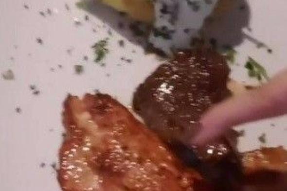 بالفيديو.. فنانة تثير الجدل بعد تناولها لحم التمساح