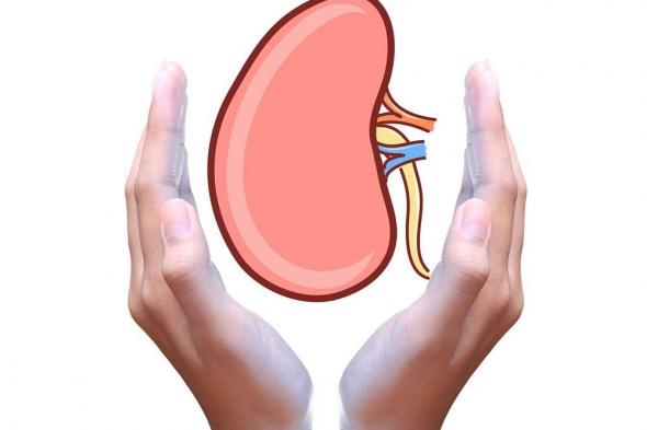 لتحموا أنفسكم من الفشل الكلوي.. اتبعوا هذه الخطوات