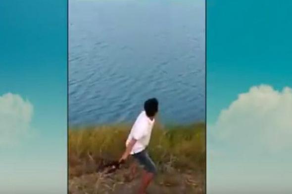 فيديو قاسٍ.. شاب يرمي كلباً حياً للتماسيح لتلتهمه!
