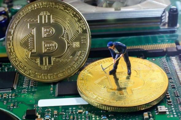 ارتفاع ضحايا تعدين العملات الرقمية بنسبة 44 في المئة خلال عام