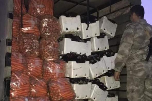 ضبط شاحنة محملة بخضار مهربة من سوريا في الخردلي 
#lebanon24

 via @Lebanon24