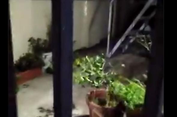 اقتلاع أشجار وخيم وتحطيم قرميد... هذا ما فعلته الرياح القوية (صور وفيديو) 
#لبنان
#lebanon24
 via @Lebanon24