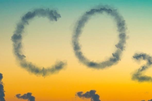 شجرة واحدة قادرة أن تخلص الأرض من 20 طنا من غاز CO2.. ماذا كشف العلماء؟  
#lebanon24
 via @Lebanon24