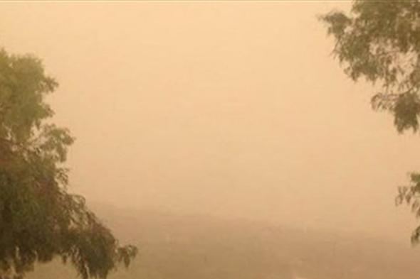 غبار خفيف وانهيارات ثلجية... هذا ما سيكون عليه طقس الاسبوع المقبل
#lebanon24
  via @Lebanon24