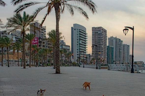 كمامات ومطاعم بلا أراكيل.. هكذا ستتغير حياة اللبنانيين بعد انتهاء التعبئة #لبنان 
#lebanon24