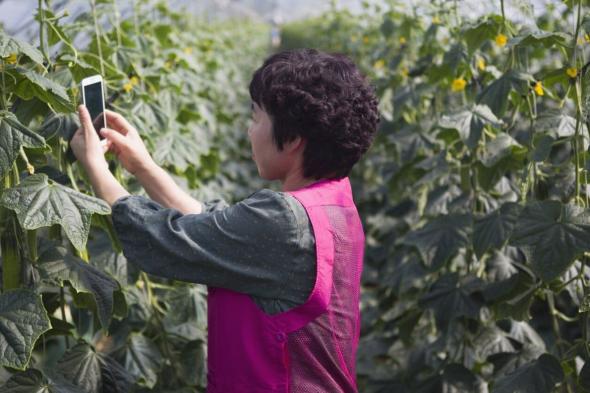 إريكسون: عالم أكثر استدامة بفضل ابتكارات قطاع تكنولوجيا الاتصالات