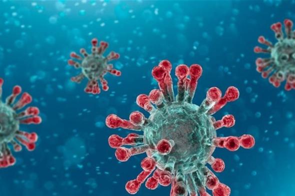 خلية جبل عامل: إصابتان من المقيمين و4 من الوافدين 
#لبنان
#lebanon24
 via @Lebanon24