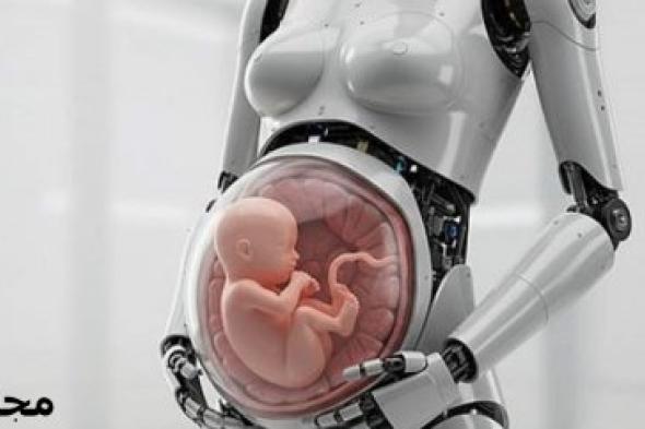 ابتكار غريب في الصين.. روبوت قادر على "الحمل" والولادة!
